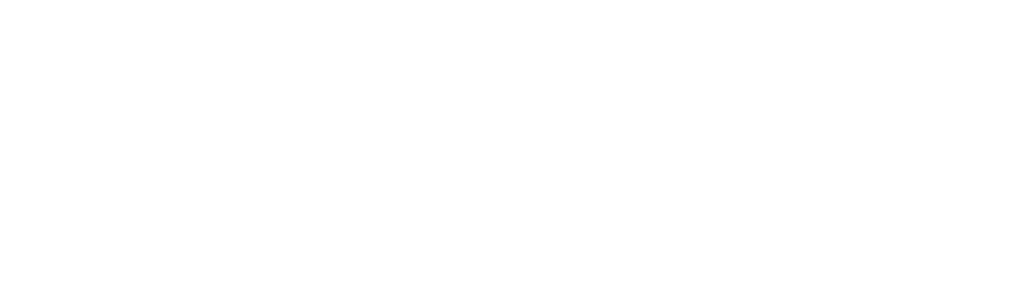 Tijdlijn van het proces van de ICECREAM studie